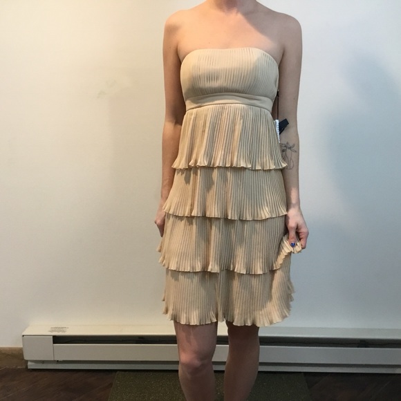 Anna Sui Tan Pleated Tiered Strapless Dress - Picture 2 of 8